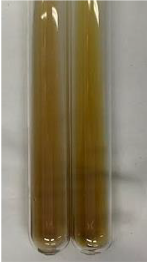 Molecules 28 05572 i364 Molecules 28 05572 i364