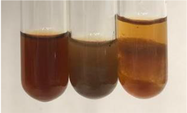 Molecules 28 05572 i367 Molecules 28 05572 i367