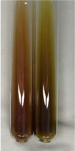 Molecules 28 05572 i368 Molecules 28 05572 i368