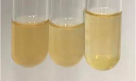 Molecules 28 05572 i371 Molecules 28 05572 i371