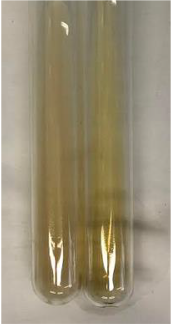 Molecules 28 05572 i372 Molecules 28 05572 i372