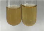 Molecules 28 05572 i373 Molecules 28 05572 i373