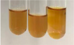 Molecules 28 05572 i375 Molecules 28 05572 i375