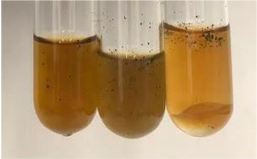 Molecules 28 05572 i379 Molecules 28 05572 i379