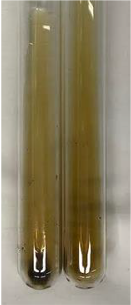 Molecules 28 05572 i380 Molecules 28 05572 i380