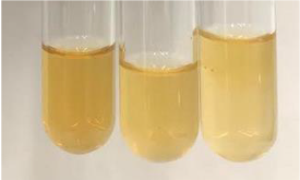 Molecules 28 05572 i383 Molecules 28 05572 i383