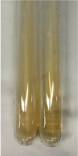 Molecules 28 05572 i384 Molecules 28 05572 i384