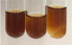 Molecules 28 05572 i387 Molecules 28 05572 i387