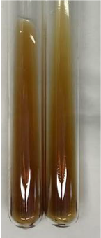 Molecules 28 05572 i388 Molecules 28 05572 i388