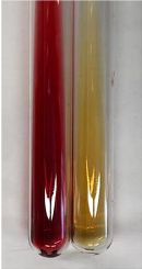 Molecules 28 05572 i406 Molecules 28 05572 i406