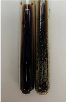 Molecules 28 05572 i415 Molecules 28 05572 i415