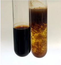 Molecules 28 05572 i416 Molecules 28 05572 i416