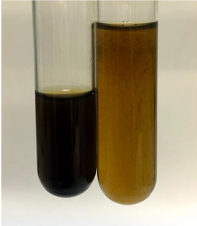 Molecules 28 05572 i420 Molecules 28 05572 i420