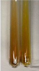 Molecules 28 05572 i442 Molecules 28 05572 i442