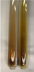 Molecules 28 05572 i445 Molecules 28 05572 i445