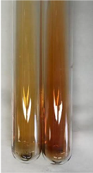 Molecules 28 05572 i457 Molecules 28 05572 i457