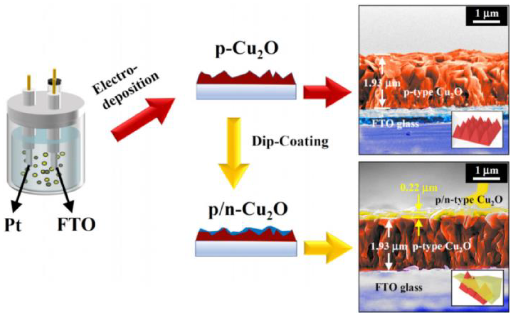 Molecules 28 05576 g003 Molecules 28 05576 g003