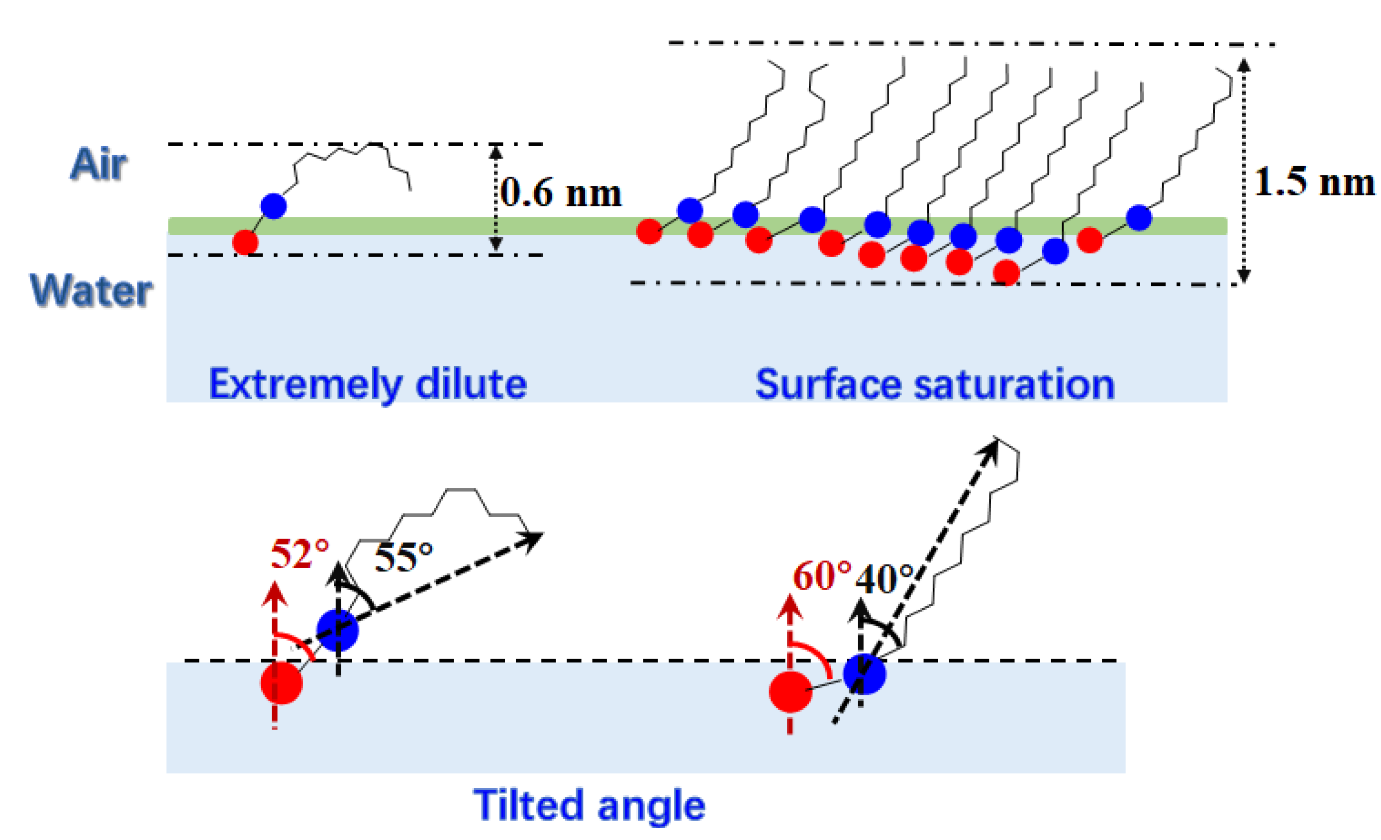 Molecules 28 05580 g008 Molecules 28 05580 g008