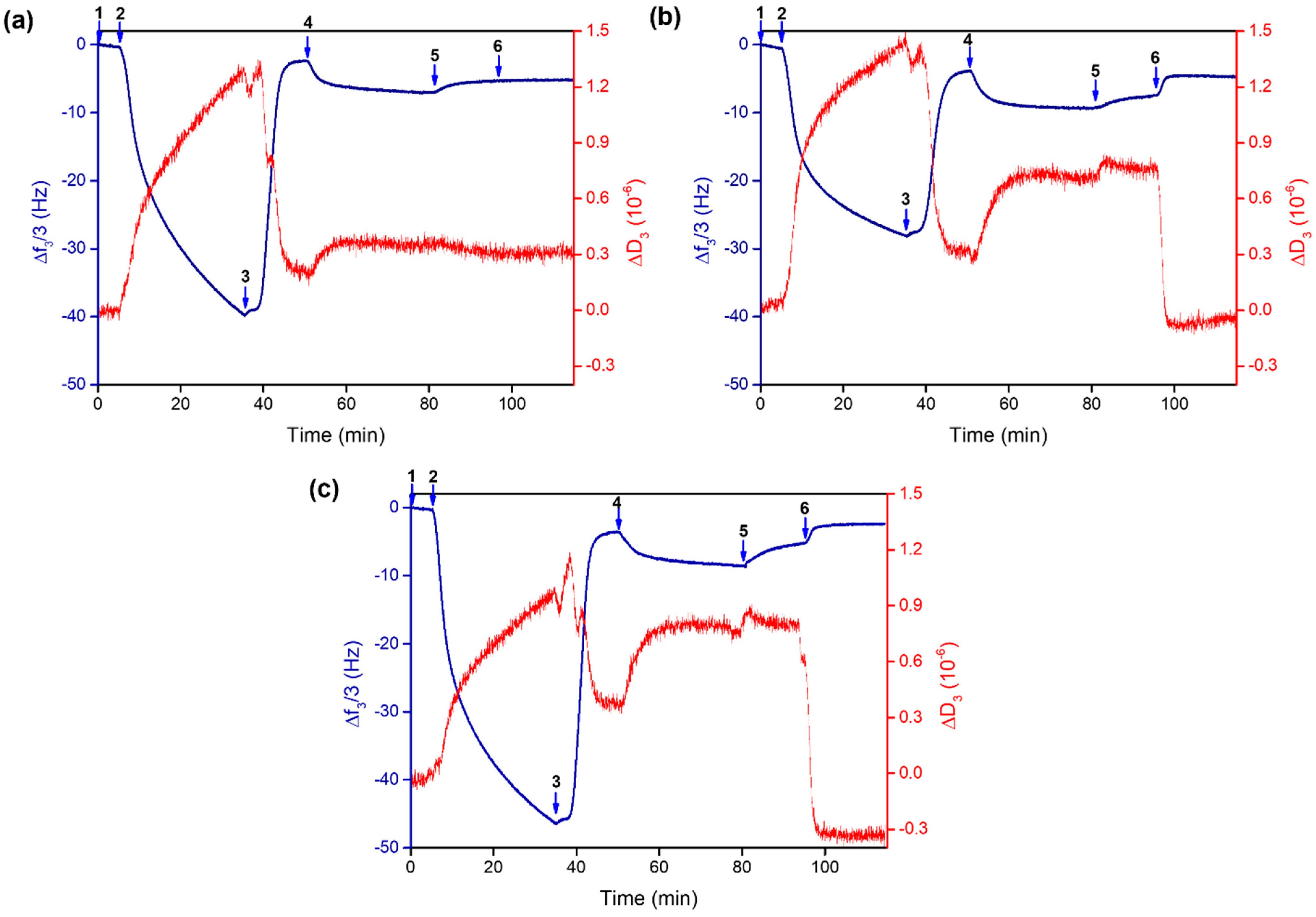 Molecules 28 05581 g004 Molecules 28 05581 g004