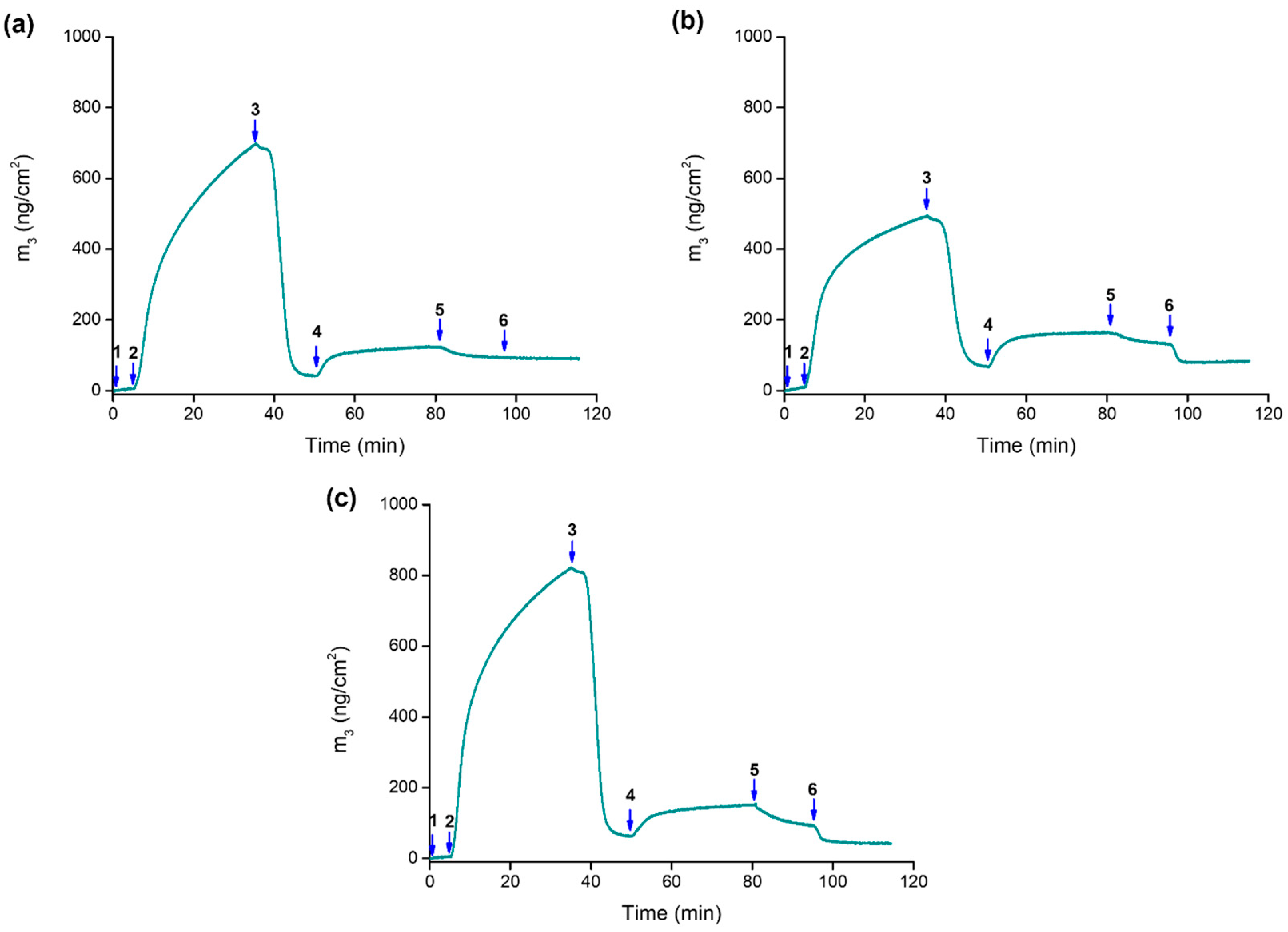 Molecules 28 05581 g005 Molecules 28 05581 g005