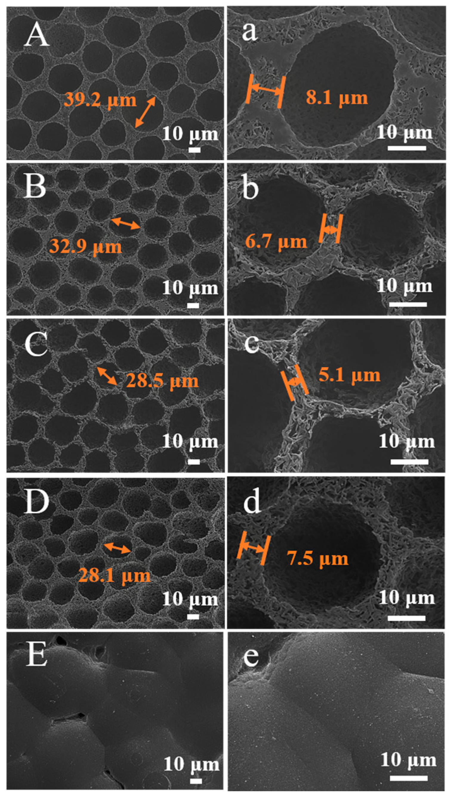 Molecules 28 05590 g003 Molecules 28 05590 g003