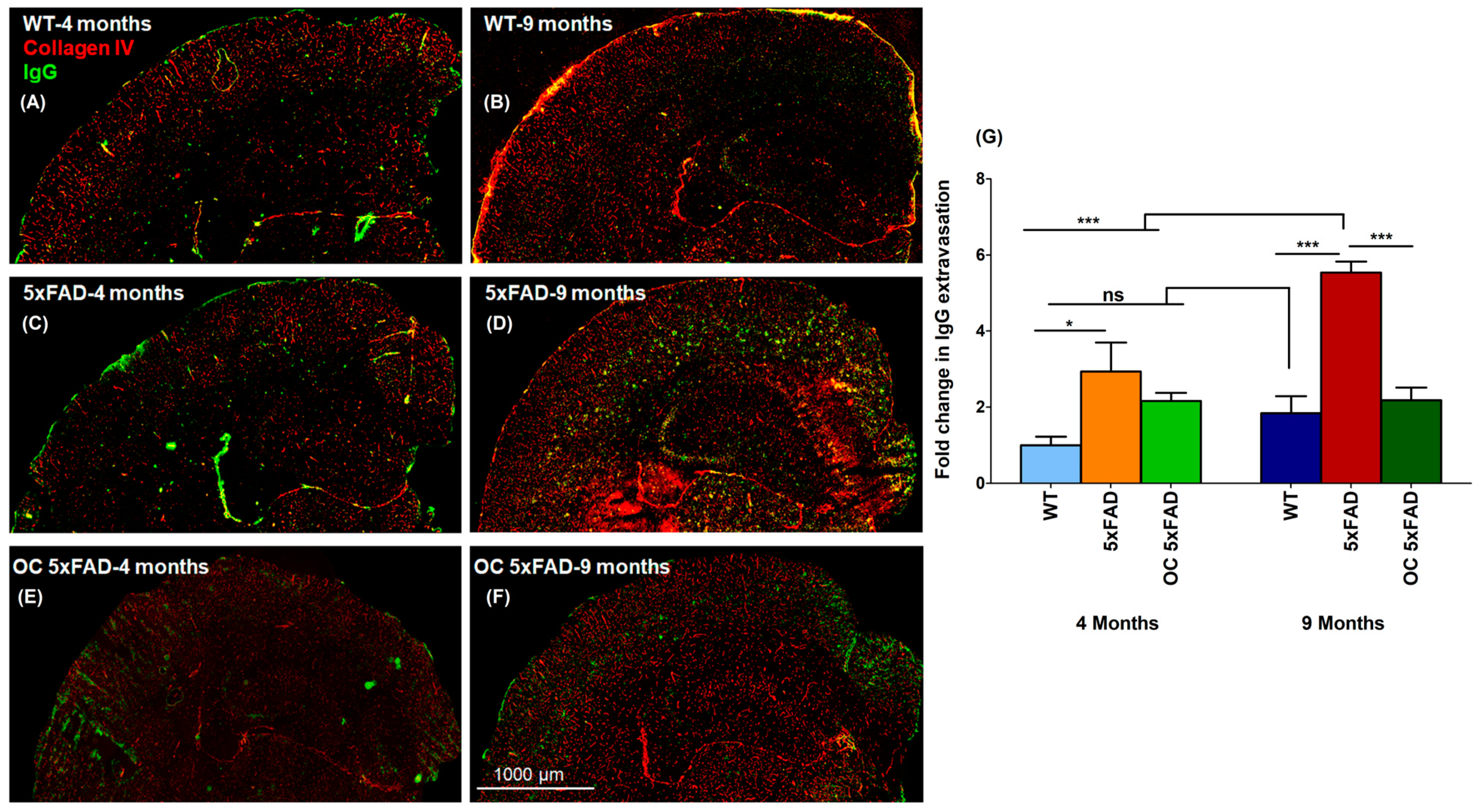 Molecules 28 05592 g002 Molecules 28 05592 g002