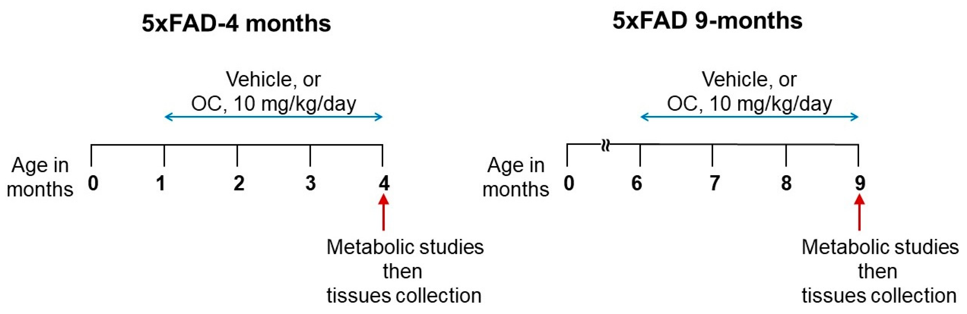 Molecules 28 05592 sch001 Molecules 28 05592 sch001