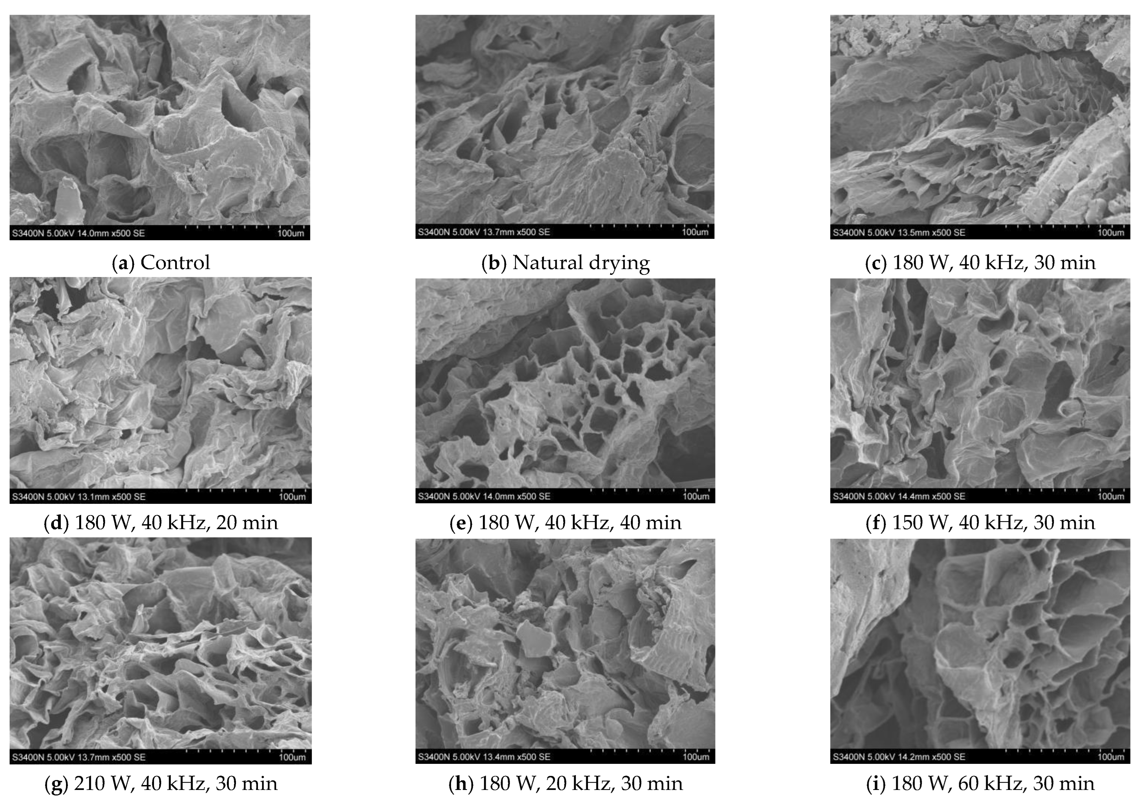 Molecules 28 05596 g006