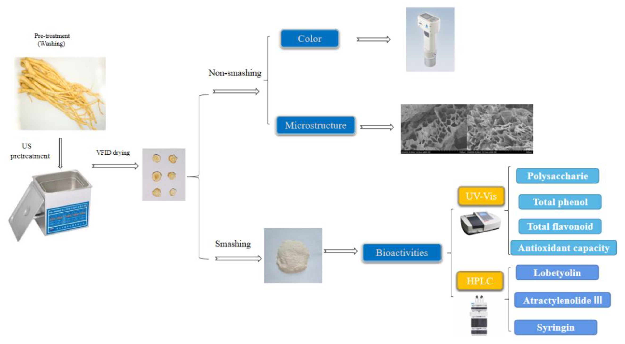 Molecules 28 05596 g007