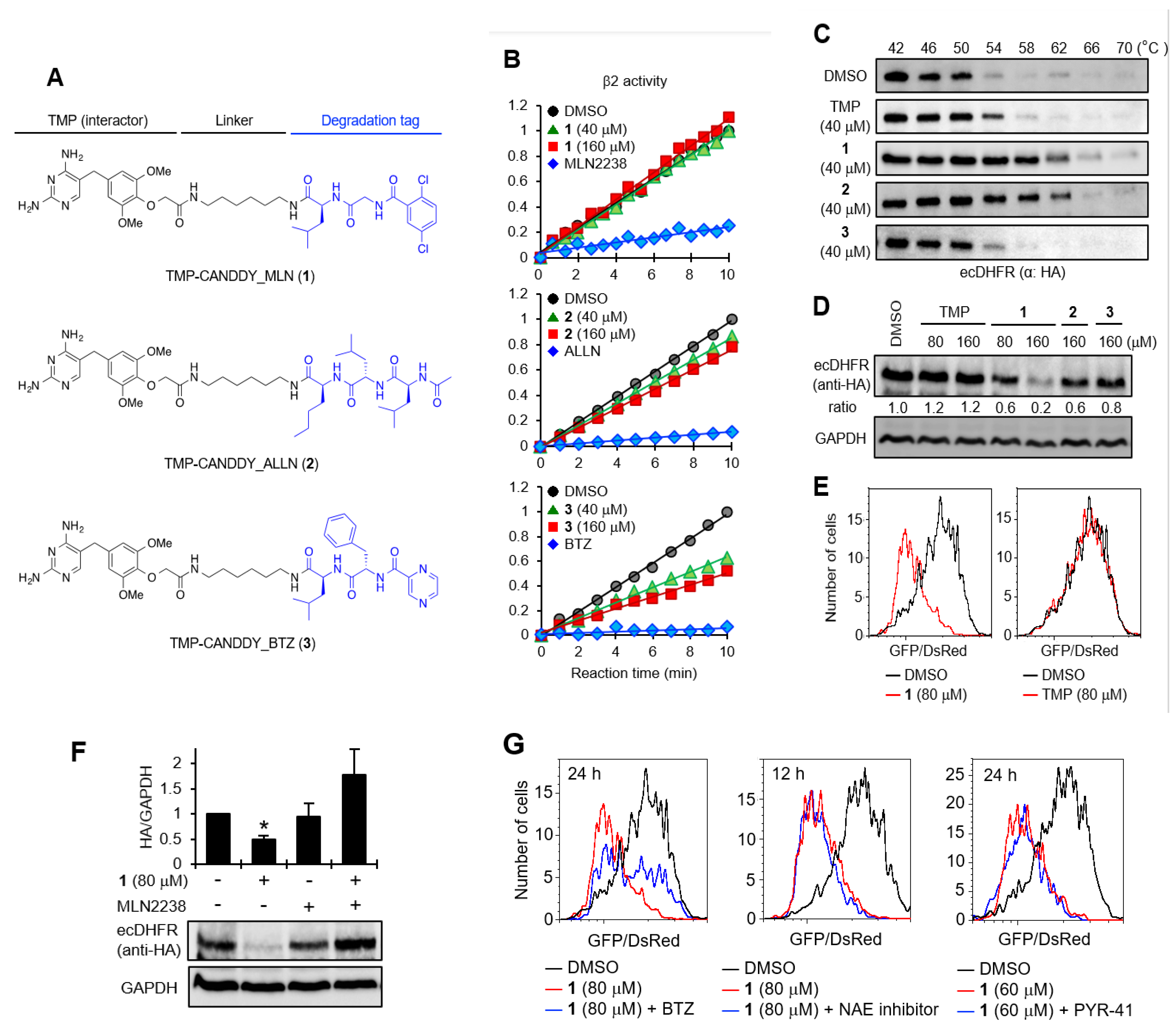 Molecules 28 05600 g002 Molecules 28 05600 g002