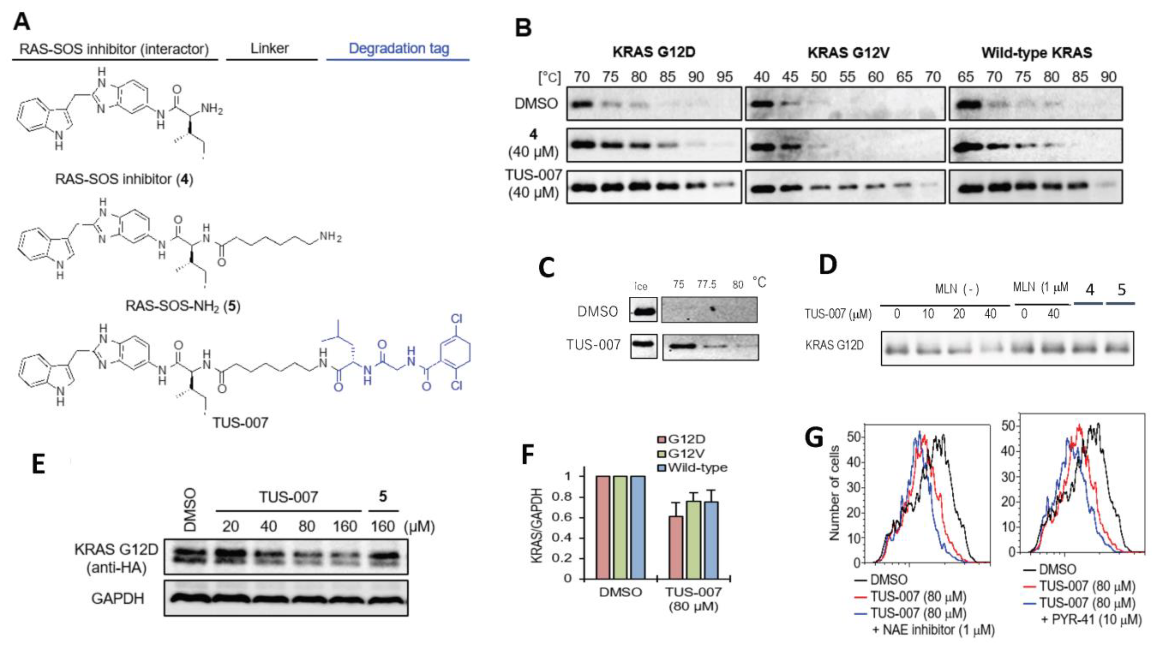 Molecules 28 05600 g003 Molecules 28 05600 g003