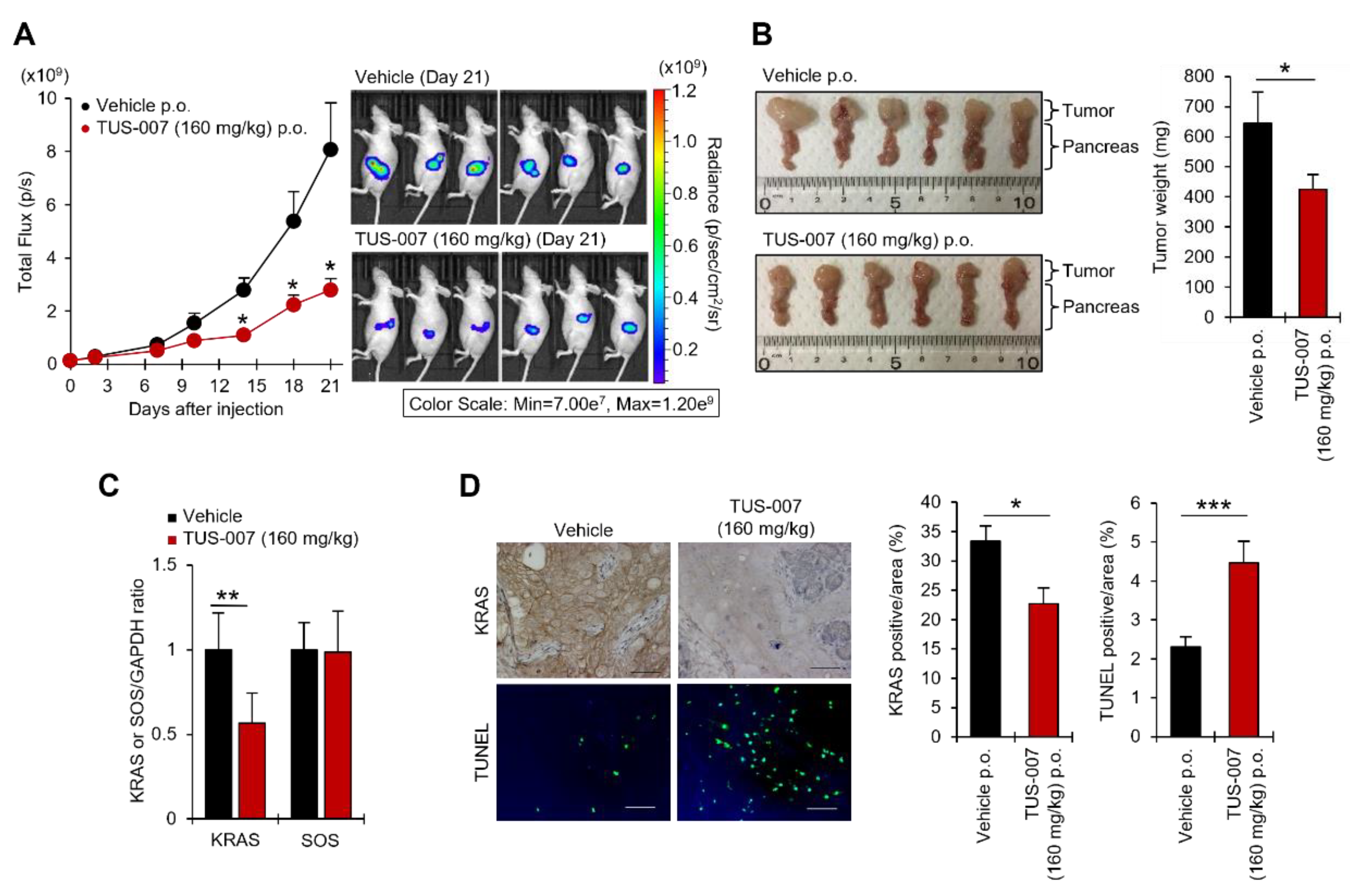 Molecules 28 05600 g006 Molecules 28 05600 g006