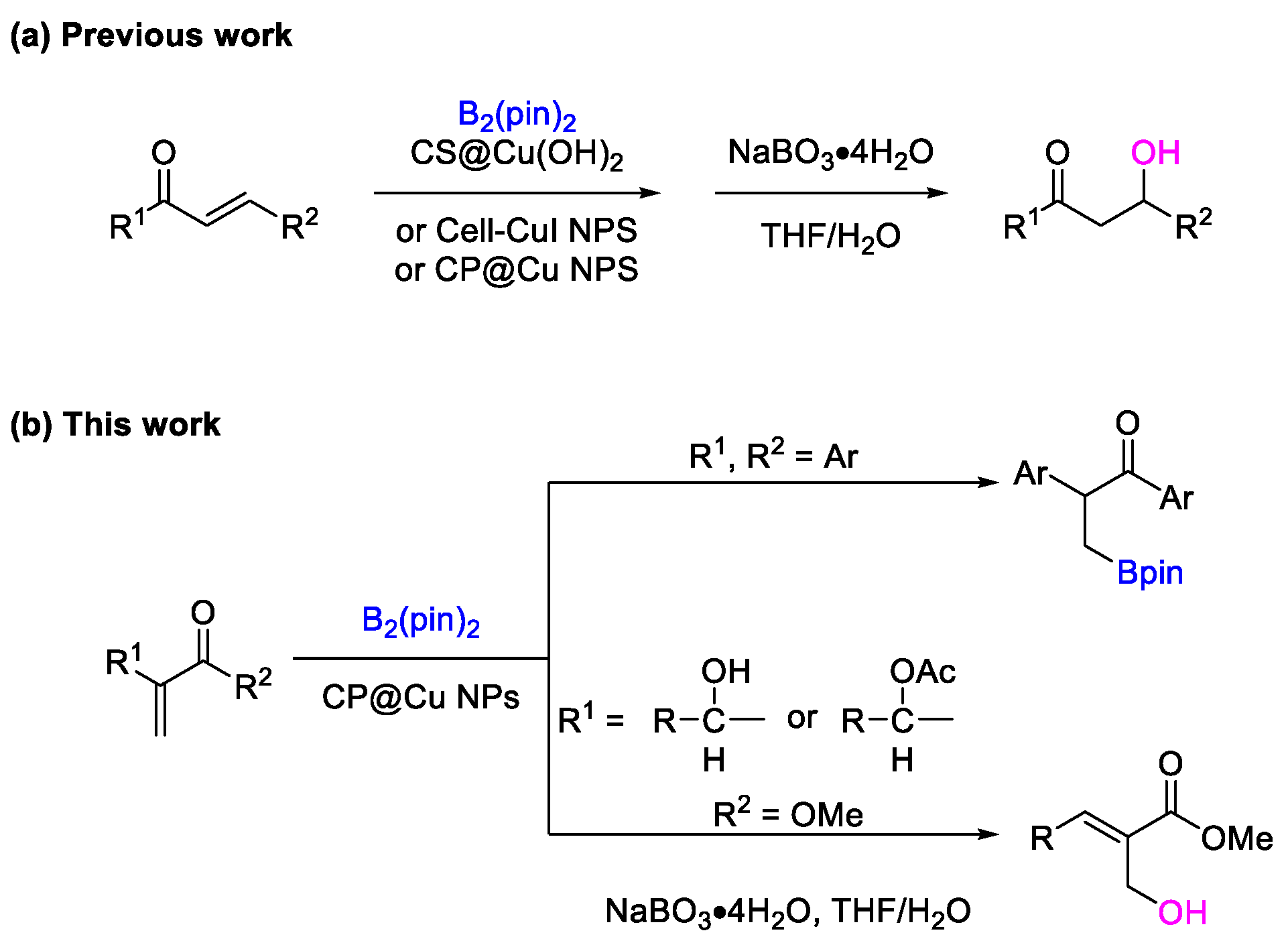 Molecules 28 05609 sch001 Molecules 28 05609 sch001