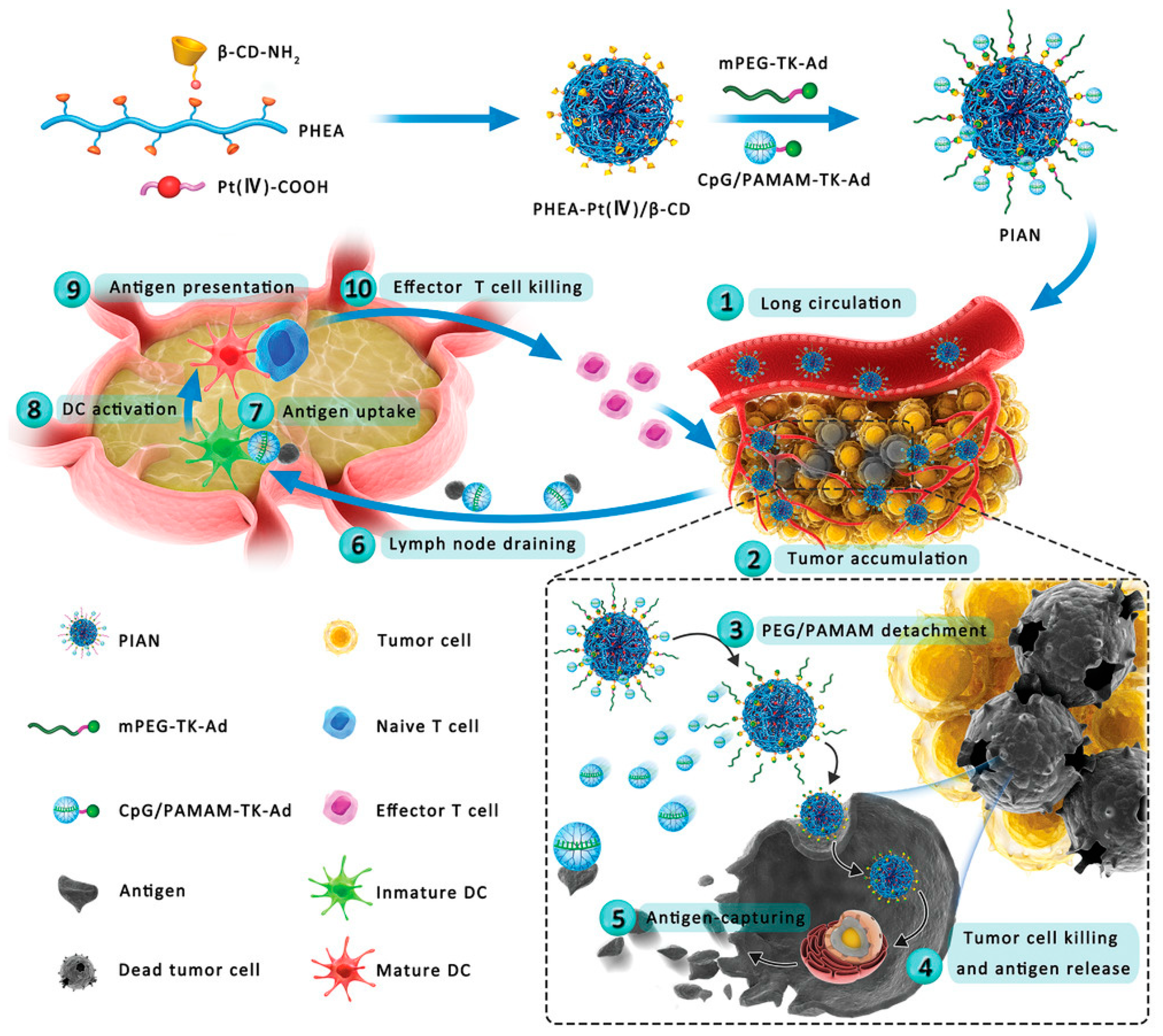Molecules 28 05610 g004 Molecules 28 05610 g004