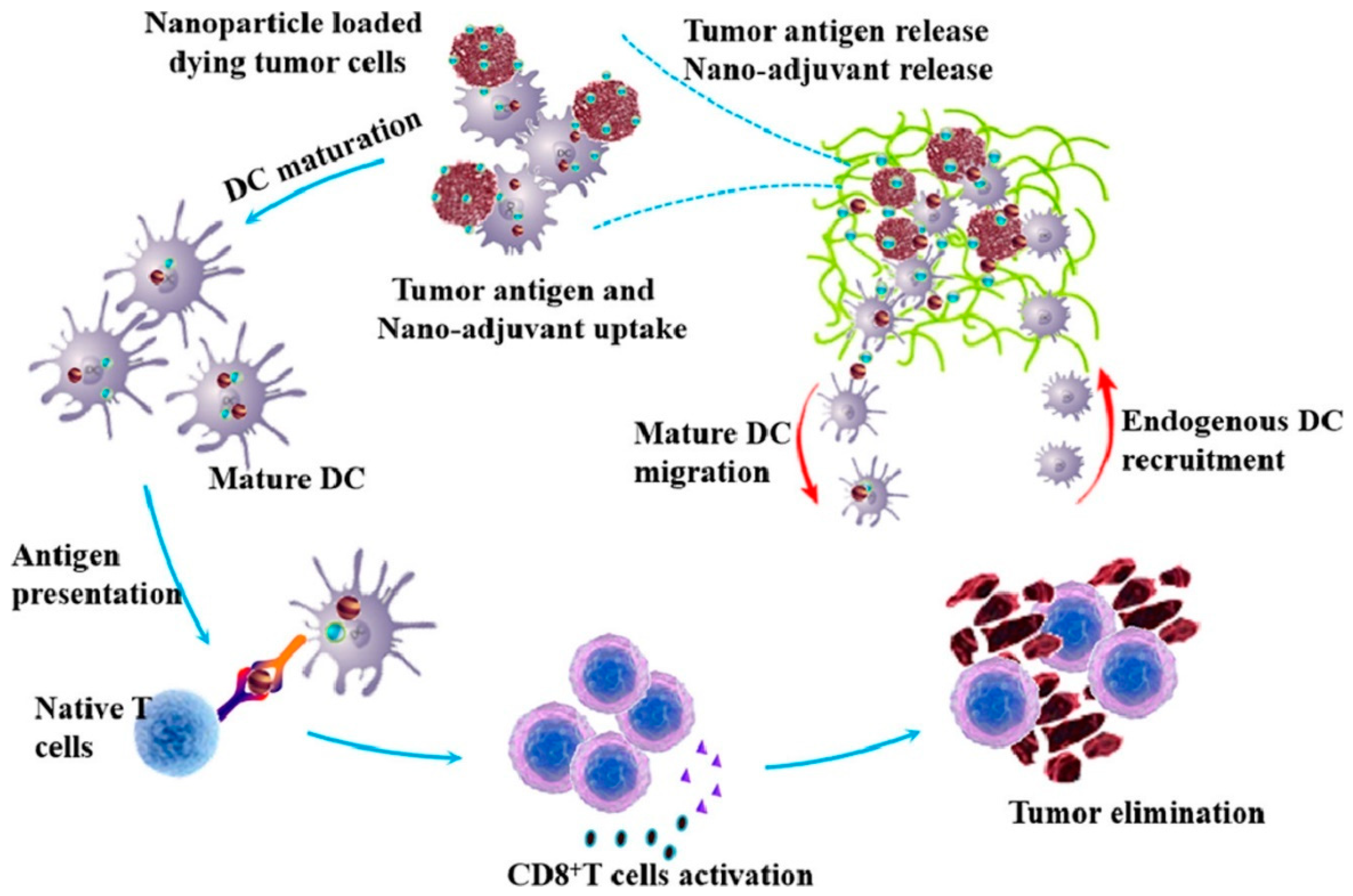Molecules 28 05610 g005 Molecules 28 05610 g005