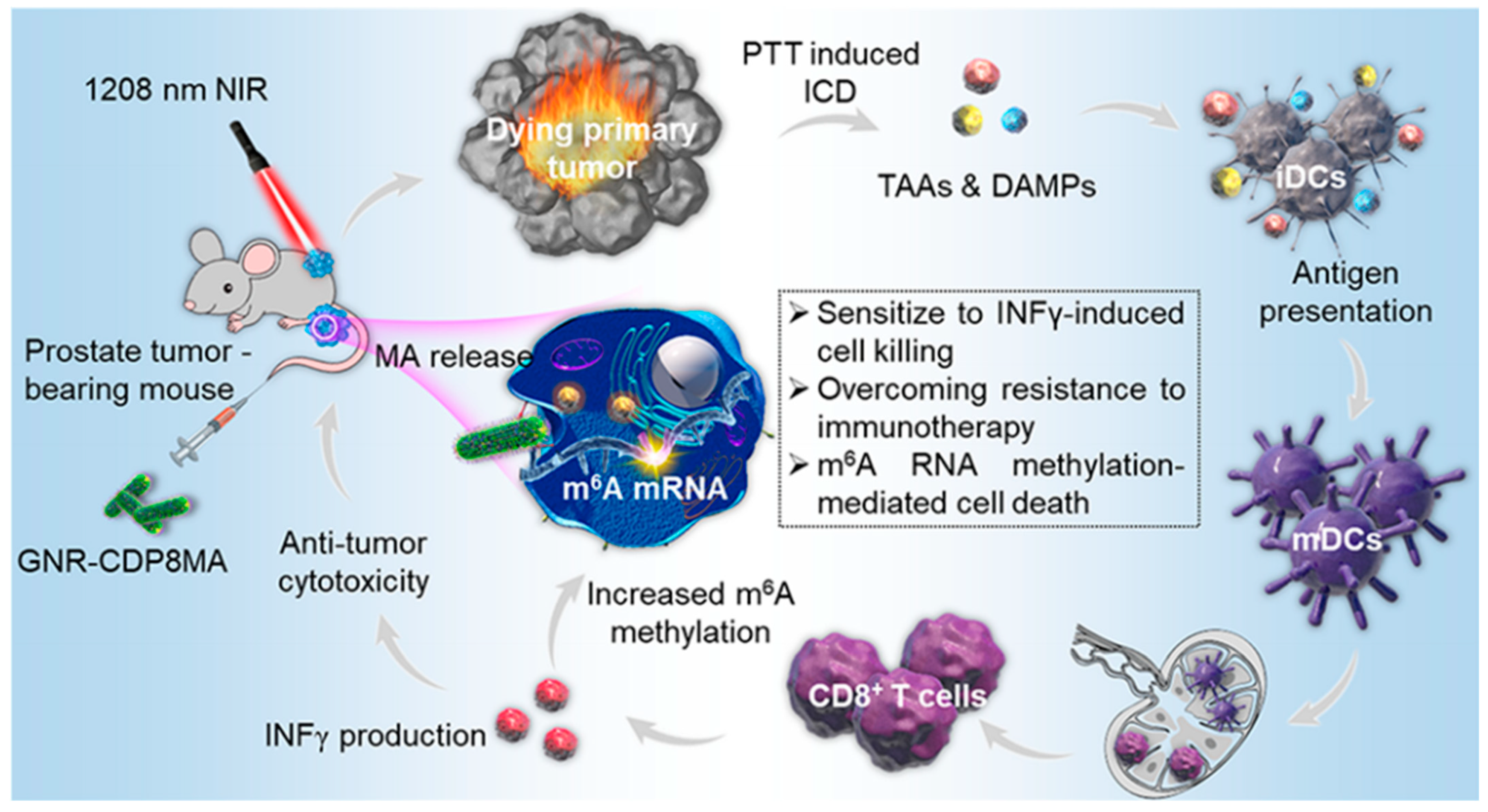 Molecules 28 05610 g012 Molecules 28 05610 g012