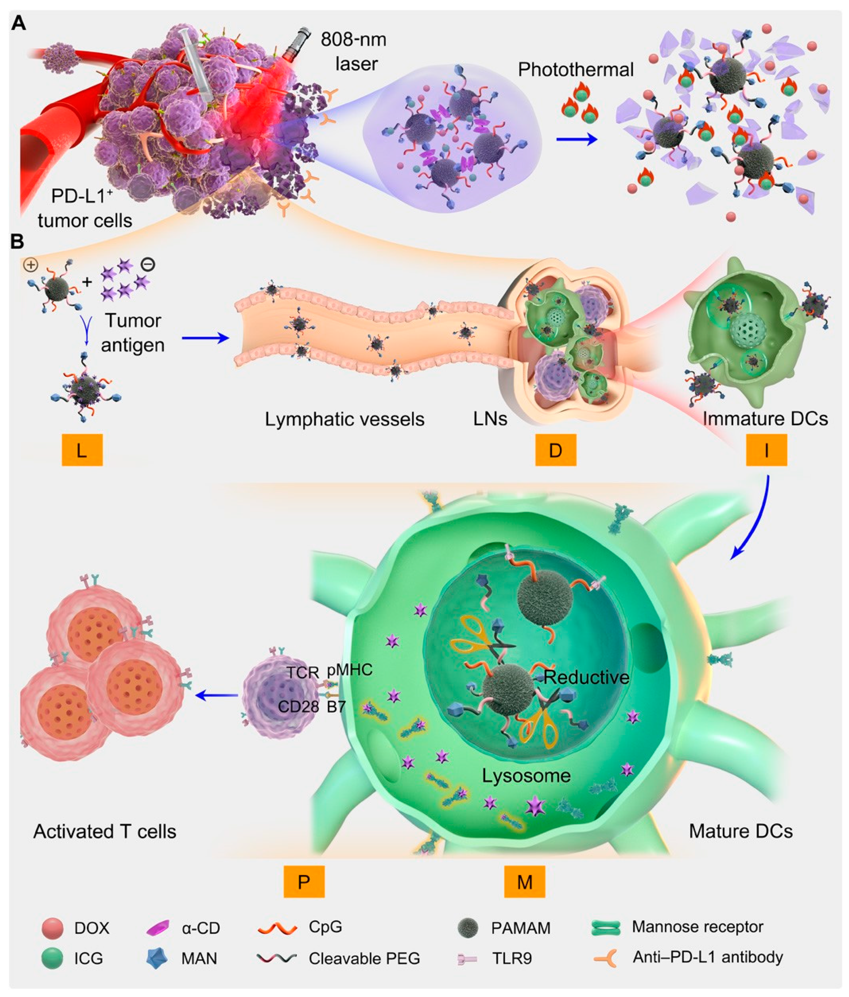 Molecules 28 05610 g013 Molecules 28 05610 g013