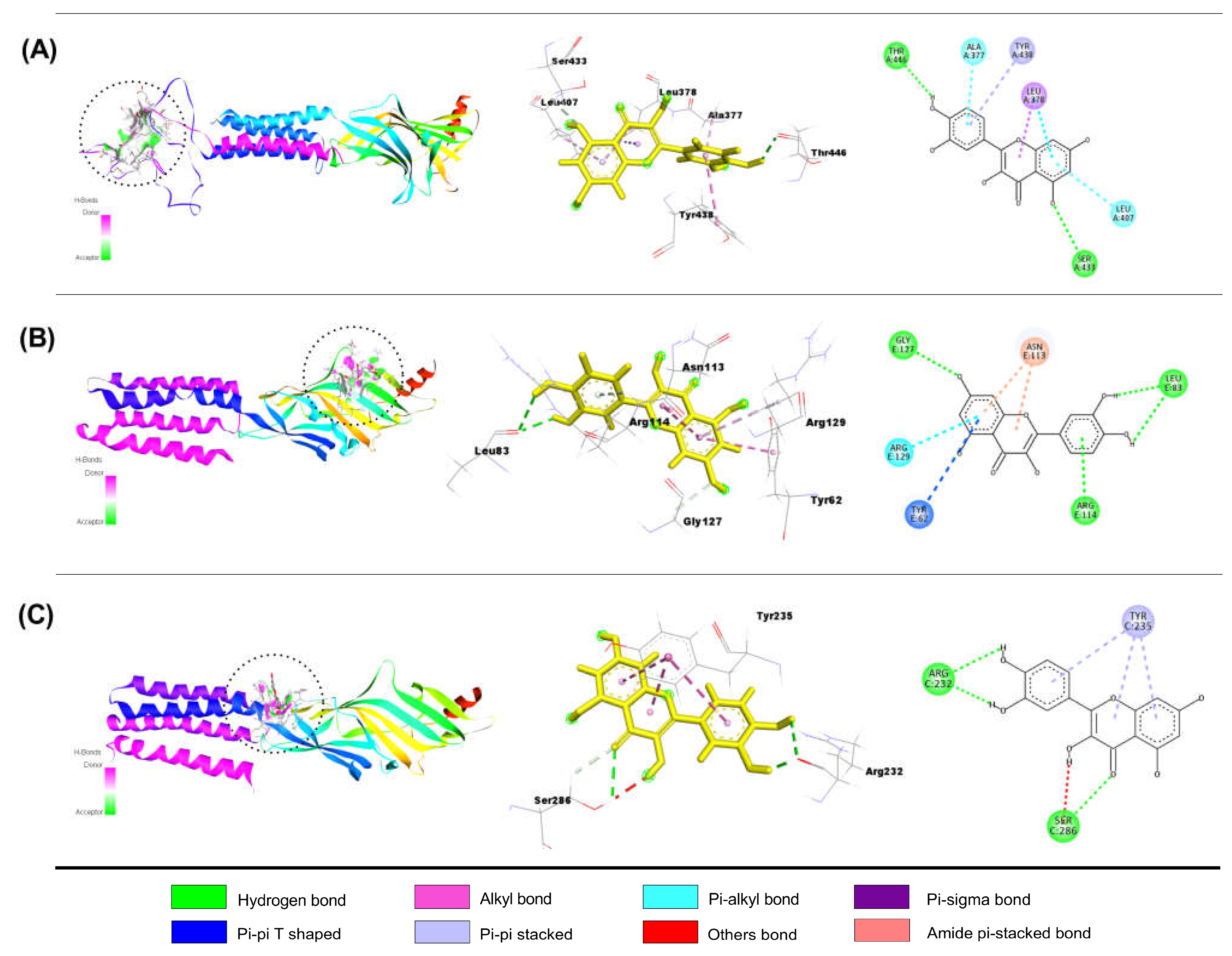 Molecules 28 05616 g004 Molecules 28 05616 g004