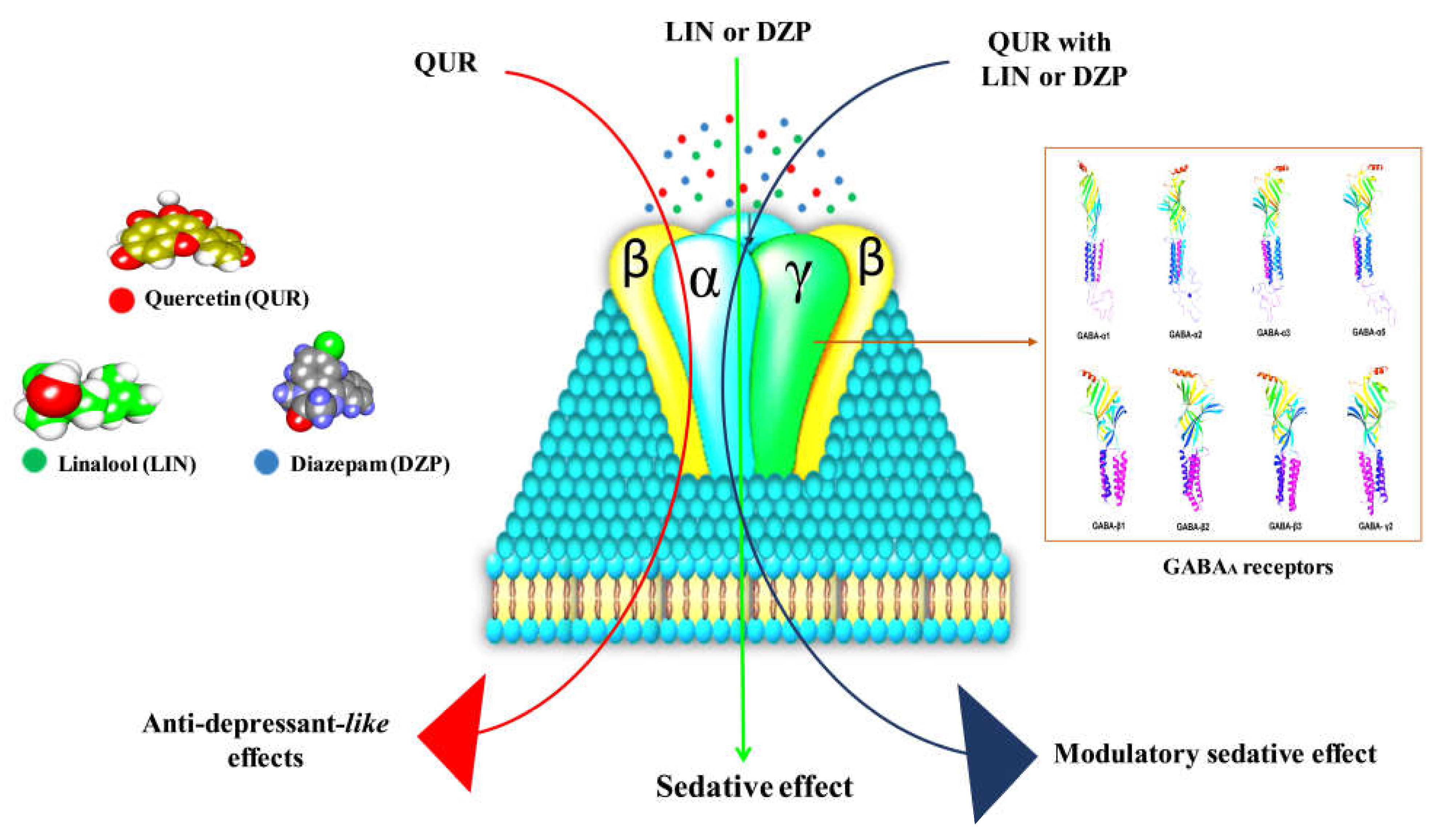 Molecules 28 05616 g008 Molecules 28 05616 g008