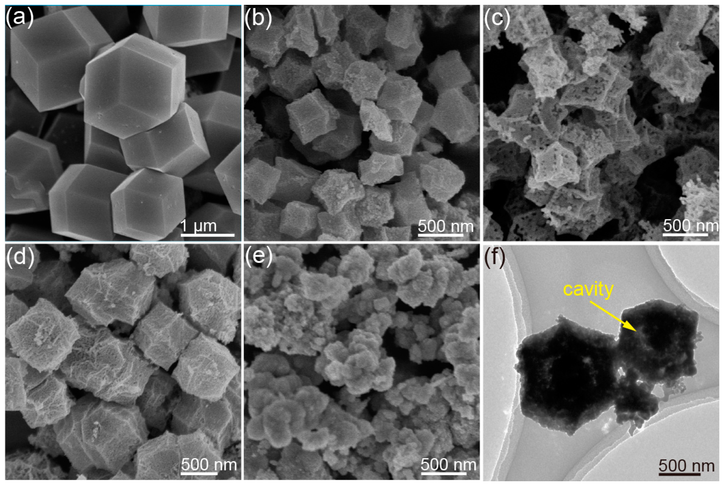 Molecules 28 05620 g001