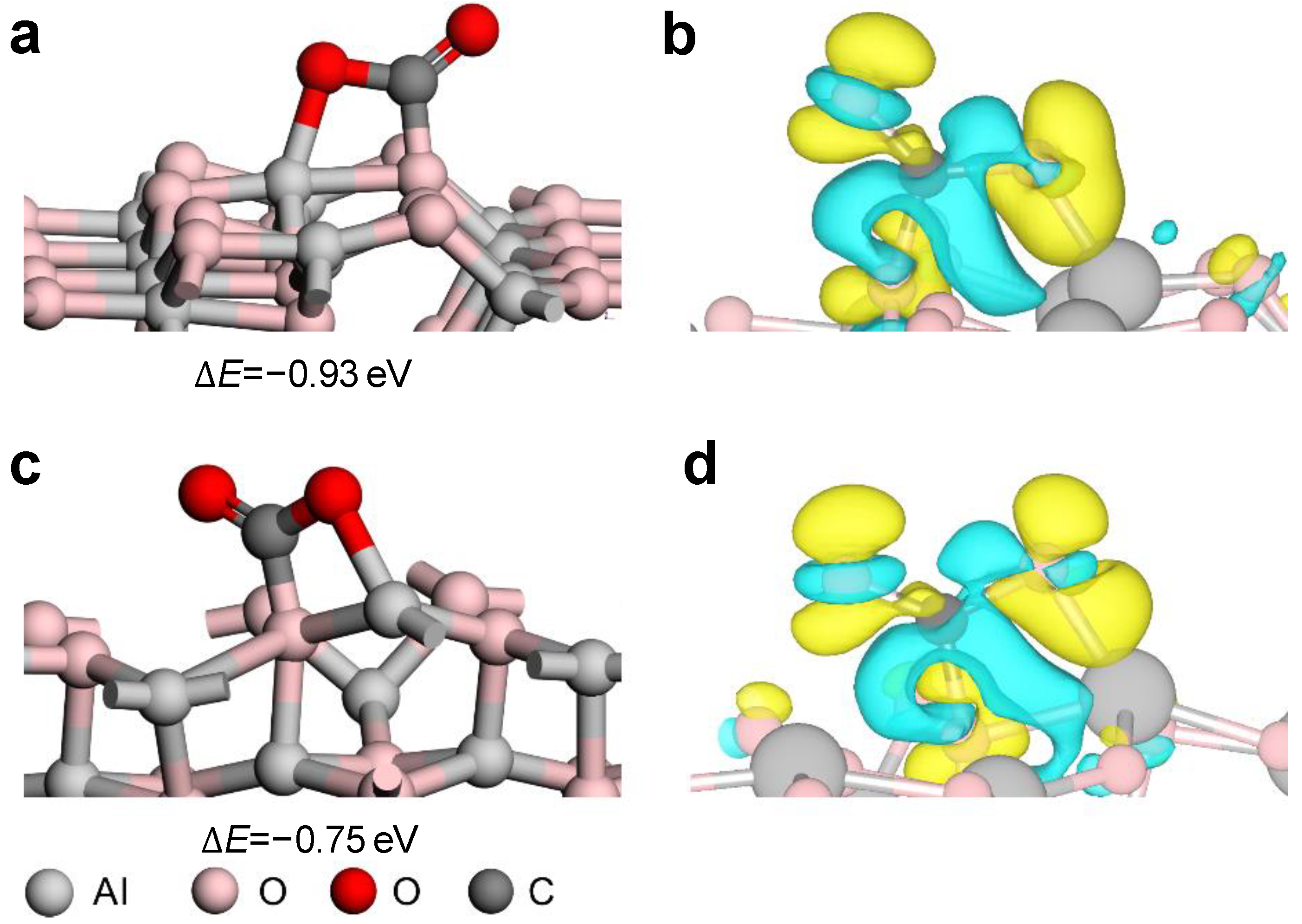 Molecules 28 05622 g005