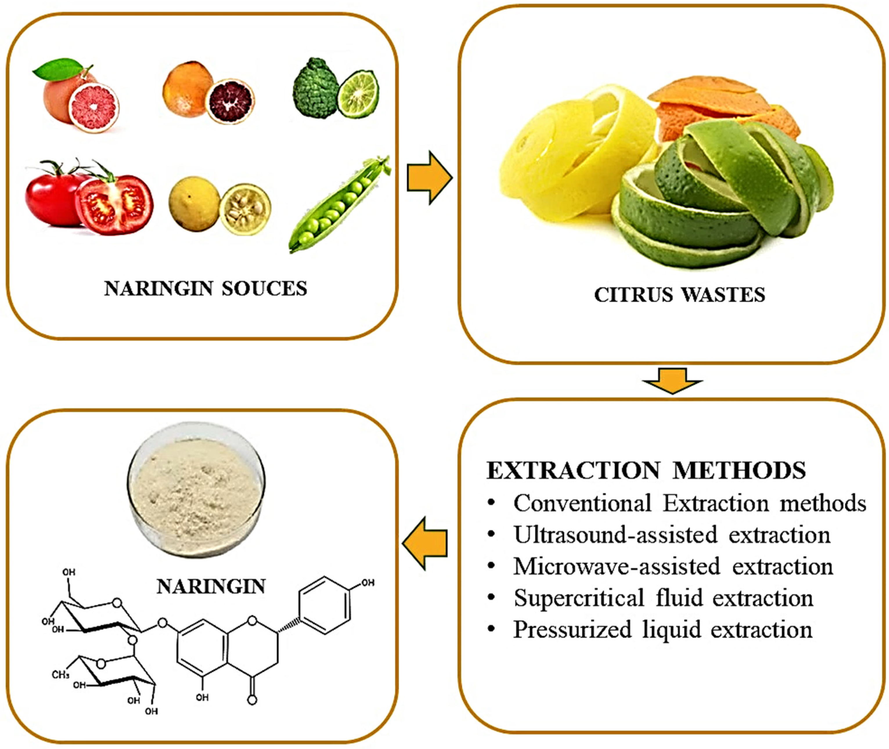 Molecules 28 05623 g003 Molecules 28 05623 g003