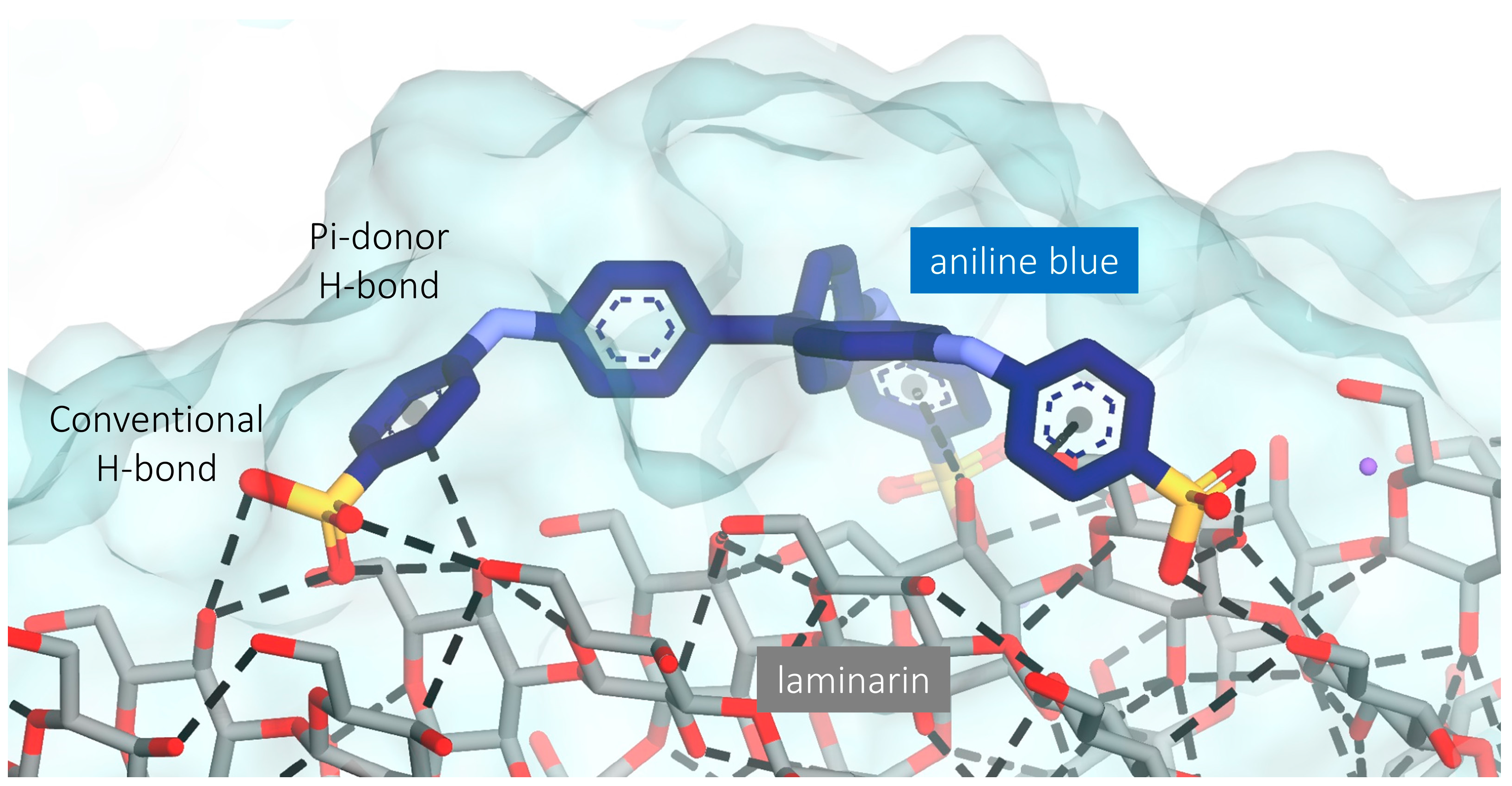Molecules 28 05625 g002