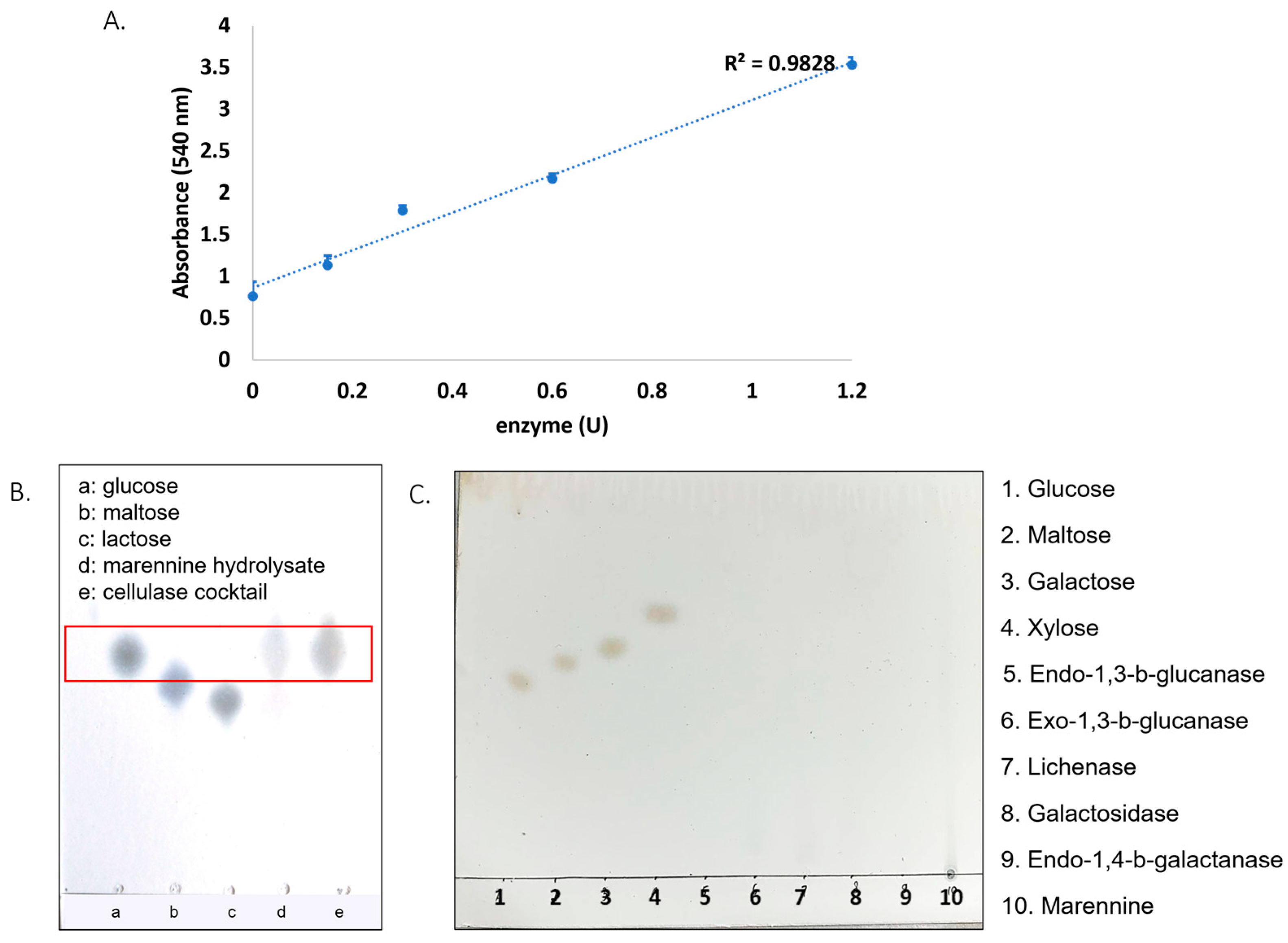 Molecules 28 05625 g004