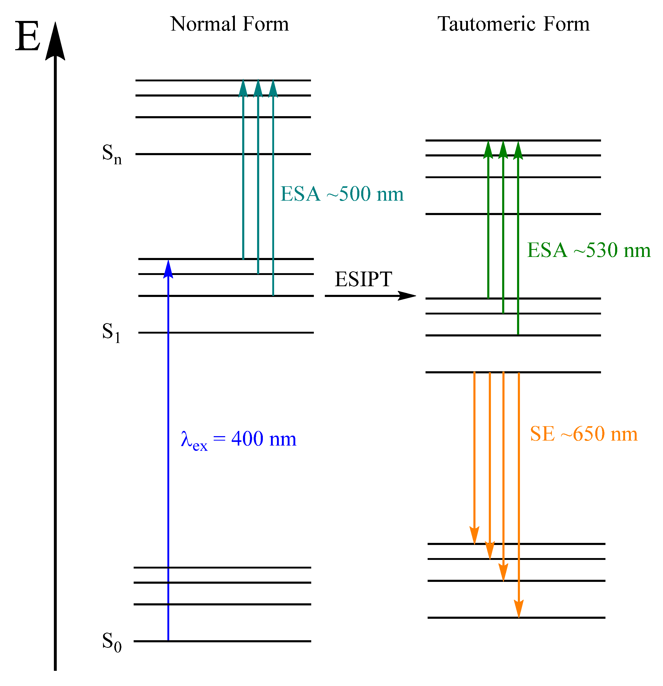 Molecules 28 05633 g009
