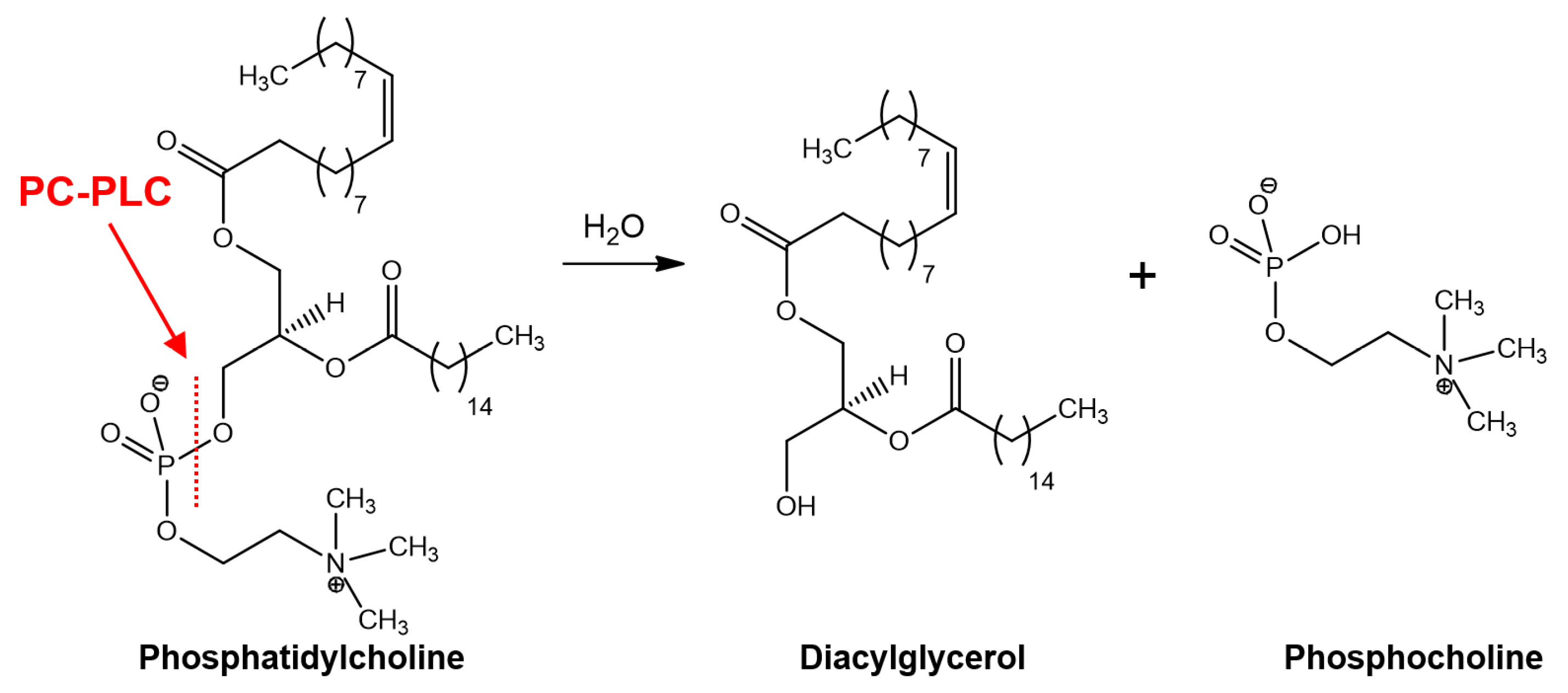Molecules 28 05637 g001 Molecules 28 05637 g001
