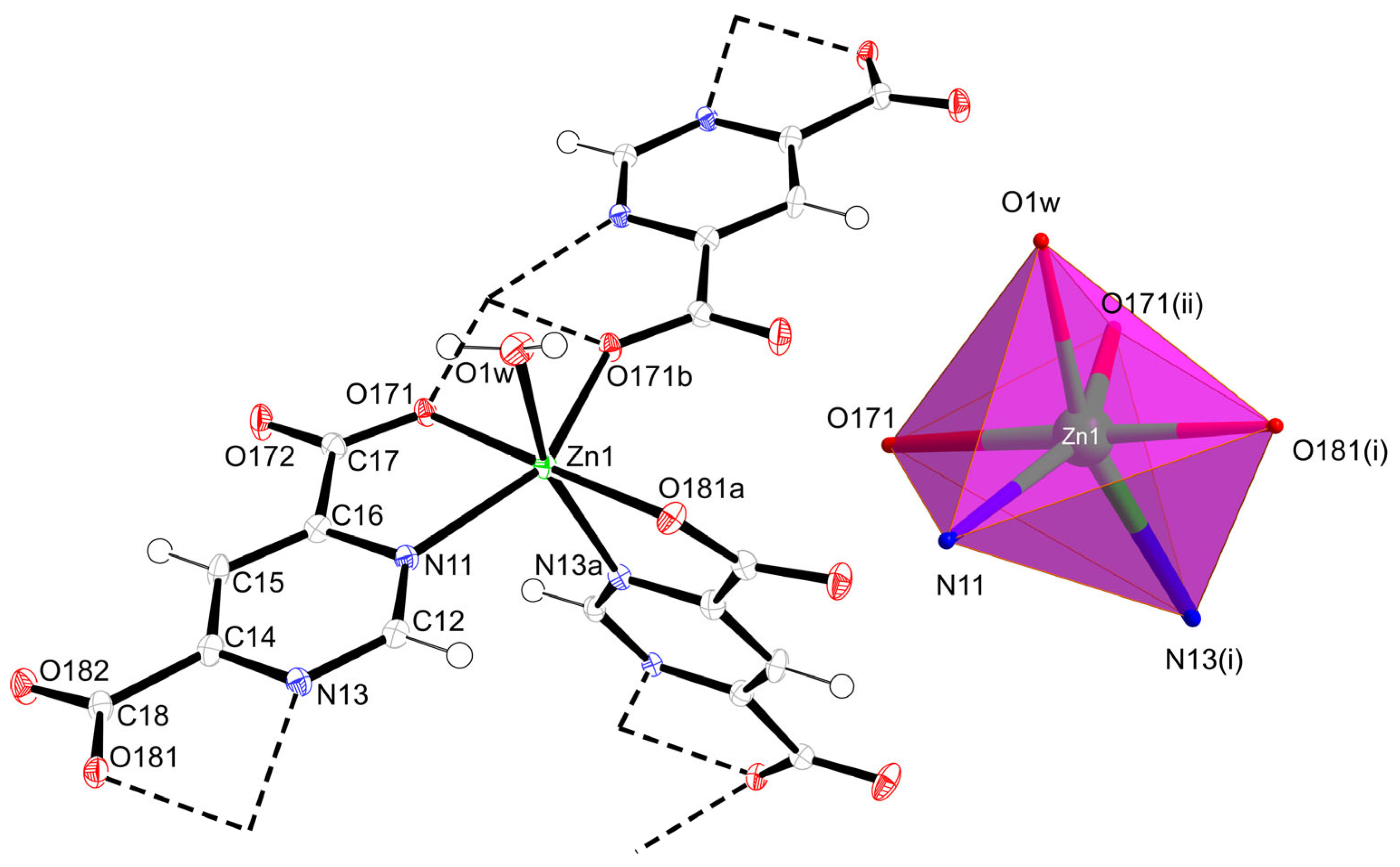 Molecules 28 05643 g001 Molecules 28 05643 g001