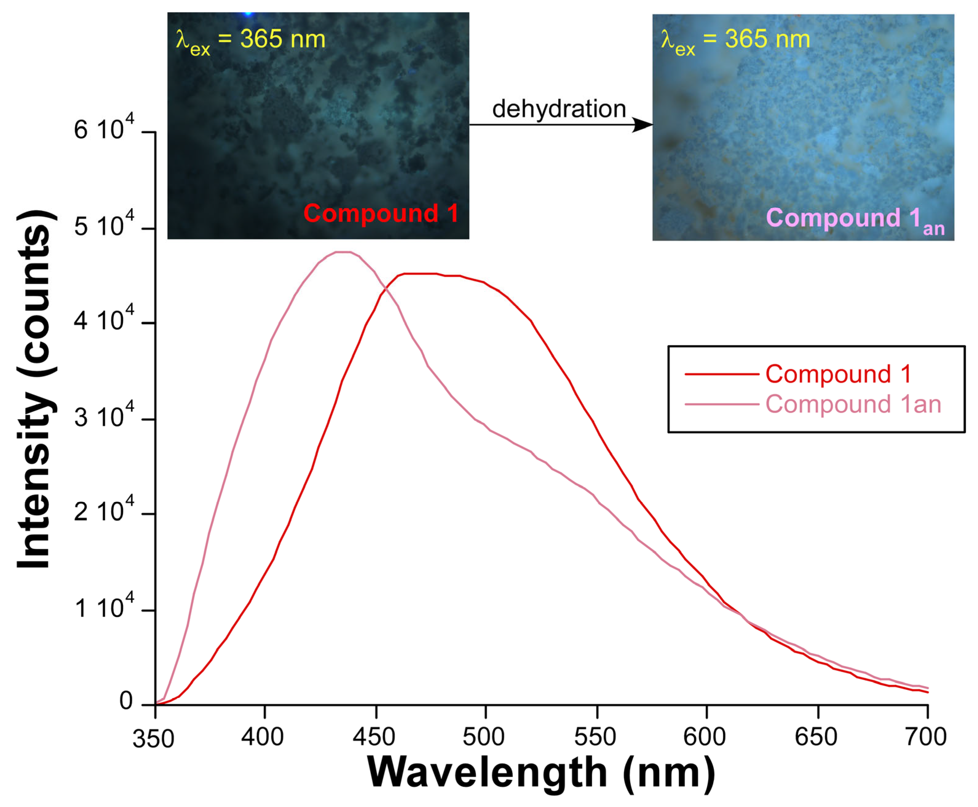 Molecules 28 05643 g006 Molecules 28 05643 g006