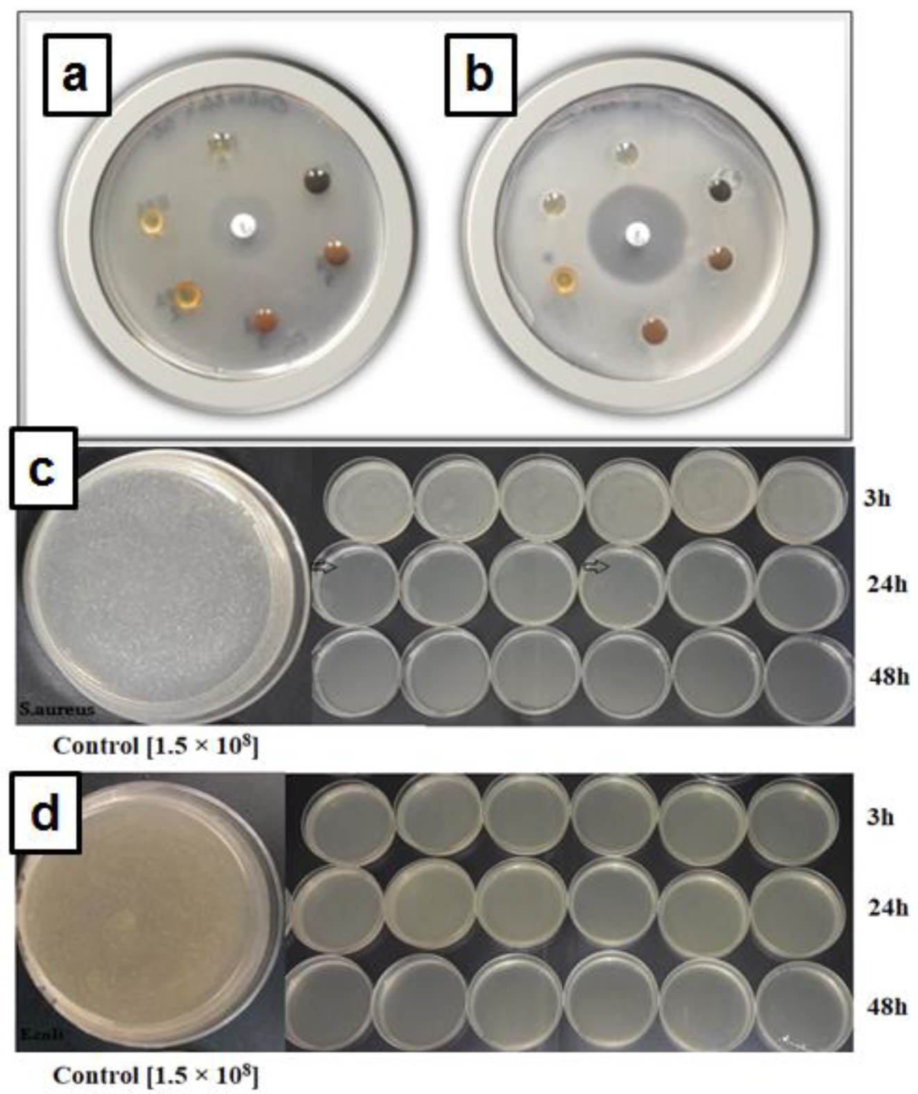 Molecules 28 05650 g007