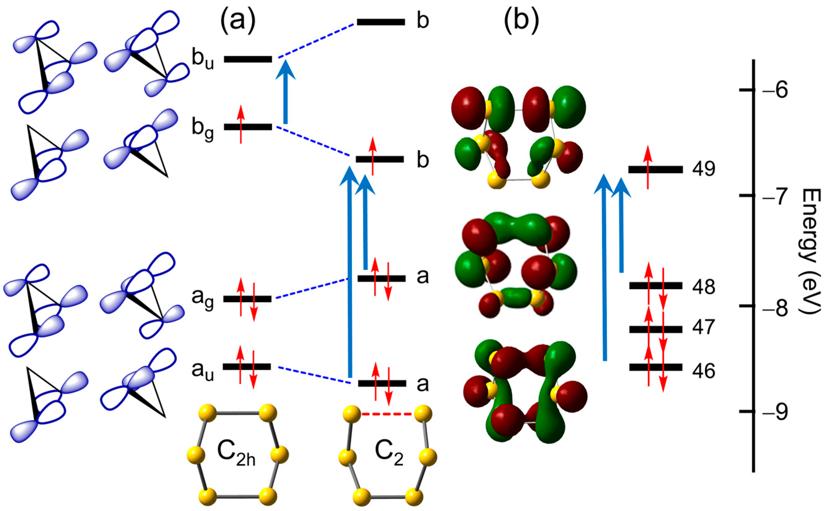 Molecules 28 05654 g011 Molecules 28 05654 g011
